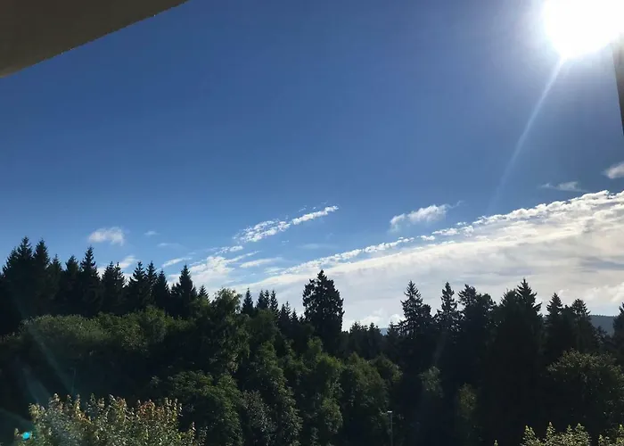 Hahnenklee Ferienpark 1-411