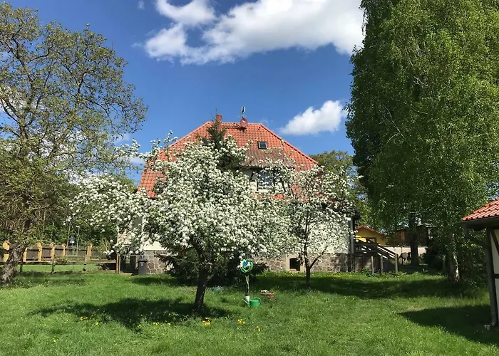 Pferdehof Schorfheide