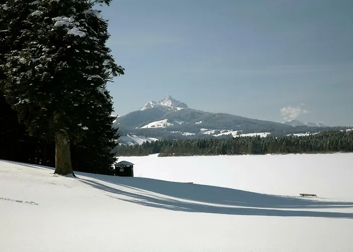 Chaletwohnung Seeblick - Sauna Und Dogfriendly