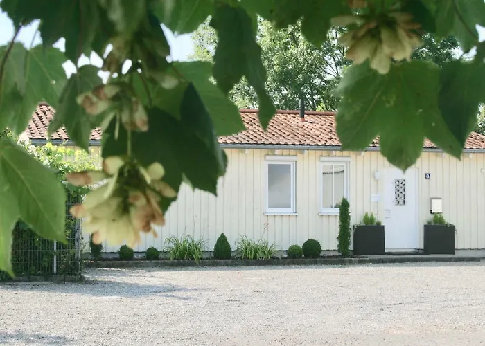 Gaumenflug Am
